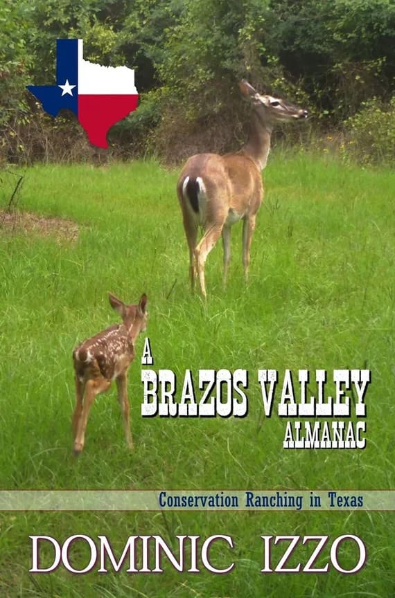 A Brazos Valley Almana