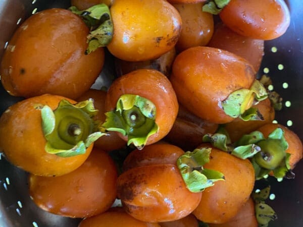 Fresh Fruits